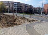 Imagine atasata: tim.sct.bega - 20.mar.16 - 025.jpg